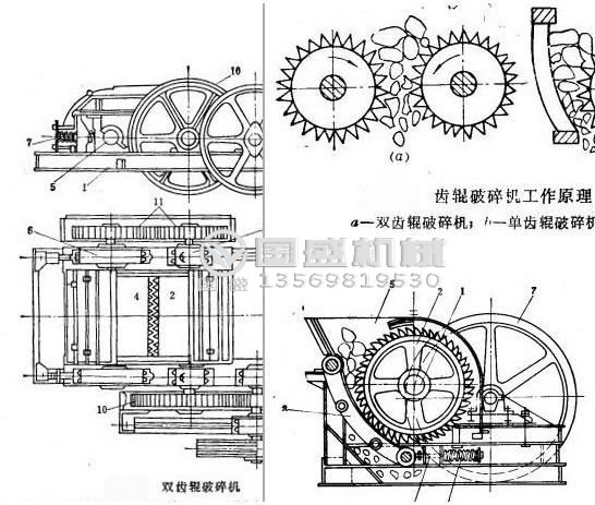 對(duì)輥破碎機(jī)示意圖